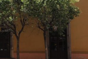 banqueta segura Municipio construye banqueta segura en Rivero y Gutiérrez