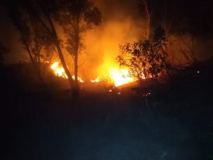INCENDIOS NAY 01 Atención inmediata para Incendios forestales en Nayarit