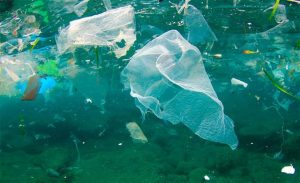 ARCHIVO 1802 1 Ley de Prohibición de Plásticos de un solo uso es un hecho: Secretaría de Desarrollo Sustentable