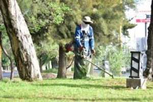 mantenimiento 2 Intensifica municipio mantenimiento de áreas verdes por temporada de lluvias