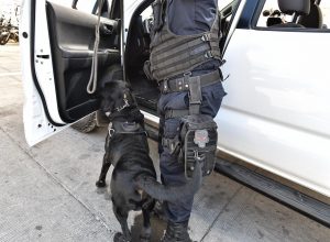 operativo Policía Municipal de Aguascalientes da resultados positivos a la ciudadanía