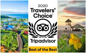 travelers choice Premios TripAdvisor: 9 hoteles de Riviera Nayarit en “Lo Mejor de lo Mejor México” 2020