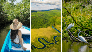 tovara Así es “La Tovara”, el enclave natural más deseado de Riviera Nayarit