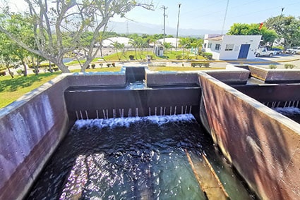 S1 3 SEAPAL mantiene y garantiza la calidad del agua para los vallartenses