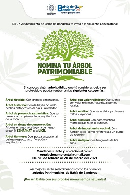 CONVOCATORIA ARBOL PATRIMONIAL BAHIA 2 Invitan a nominar un Árbol como Patrimonio Ambiental de Bahía de Banderas