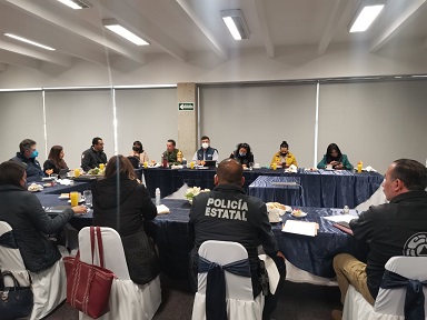 seguridad mujeres 2 Municipio, Guardia Nacional y Ejercito Mexicano trabaja por la seguridad de las mujeres de Aguascalientes