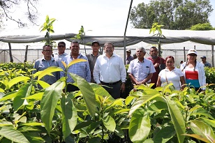 productores 2 Castellón entregó 13mil plantas frutales a productores tepicenses