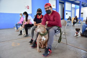 vacuna mascota Municipio suma esfuerzos para guardar la salud de las mascotas
