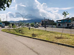 arbolado Informa la Dirección de Ecología del Ayuntamiento de Tepic, Retiro y Movimiento de Arbolado Urbano