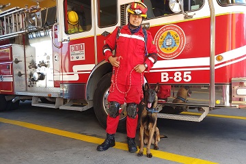 Unidad Canina USAR K9 2 Reforzarán la Unidad Canina de Búsqueda y Rescate
