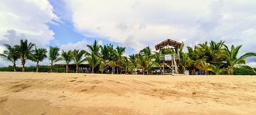 campamento tortuguero Escápate a Riviera Nayarit y libera tortugas en el campamento El Naranjo