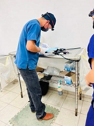 esterilizacion Más de 500 mascotas han sido esterilizadas en Puerto Vallarta