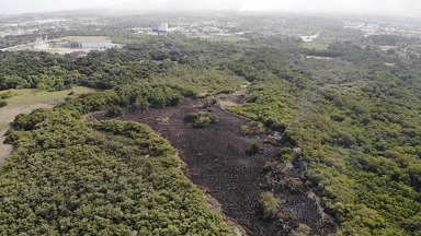 pastizal 2 Incendio en El Salado afectó 3.5 hectáreas de pastizal