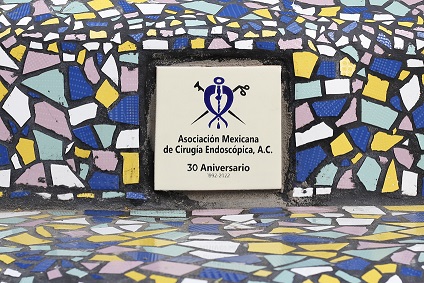 Asociacion Mexicana de Cirugia Endoscopica 2 Celebra 30 años Asociación Mexicana de Cirugía Endoscópica