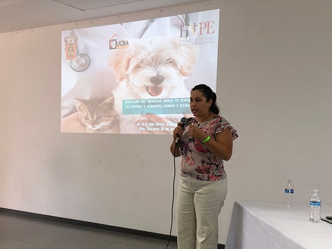 conferencia veterinarios 2 Abordan de manera integral el bienestar animal en Puerto Vallarta