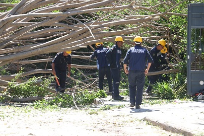 limpieza de afectaciones Continúan los trabajos por afectaciones del huracán “Lidia”