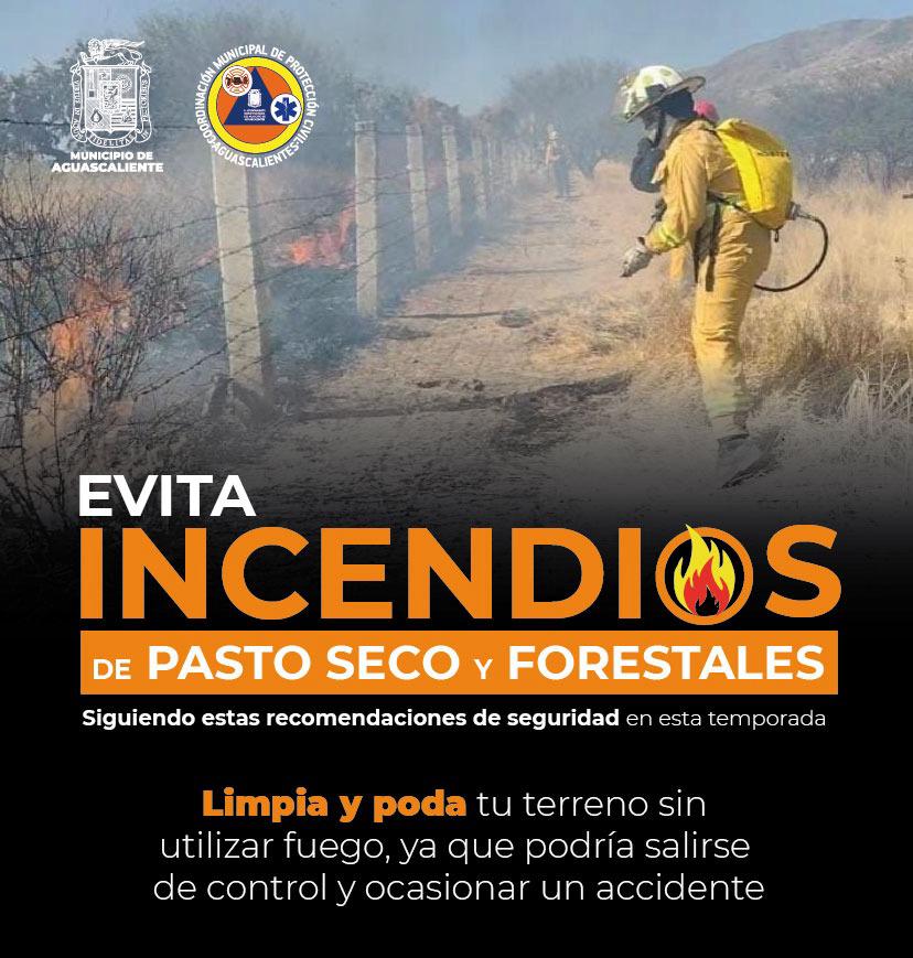 Imagen de WhatsApp 2024 05 03 a las 13.58.49 4b061aee REITERA PROTECCIÓN CIVIL MUNICIPAL LLAMADO A SEGUIR MEDIDAS DE PREVENCIÓN DE INCENDIOS FORESTALES Y DE PASTO SECO