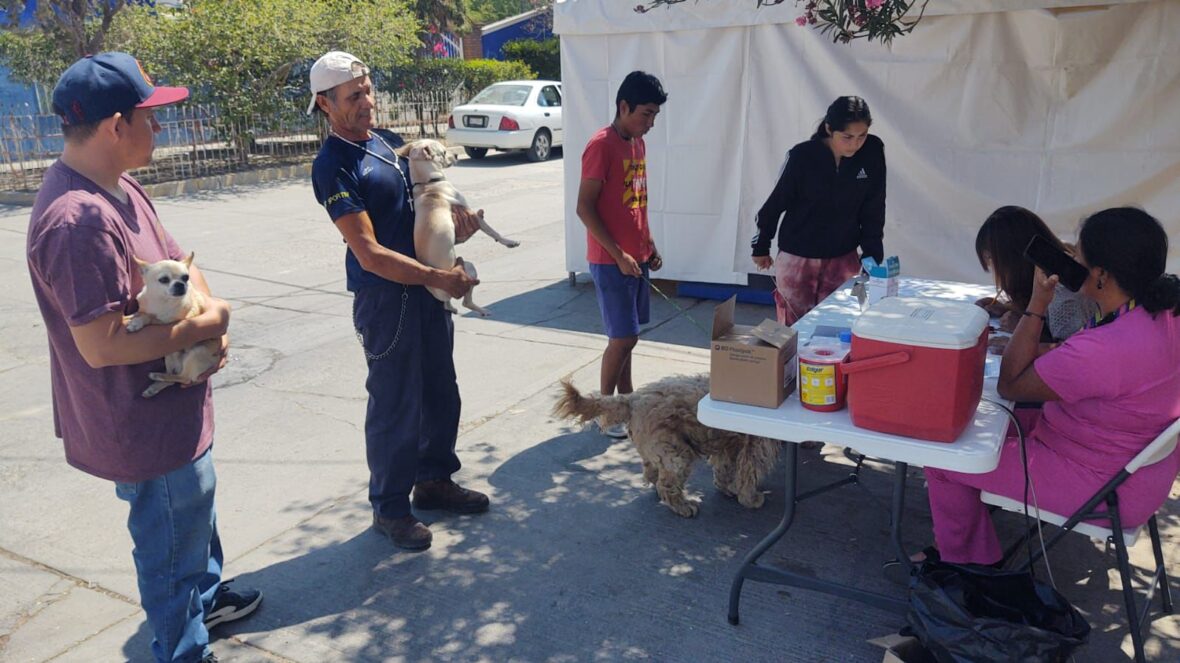 WhatsApp Image 2024 05 07 at 3.27.52 PM 1 scaled ANUNCIA MUNICIPIO NUEVAS FECHAS DE LA CARAVANA DE LA SALUD CANINA Y FELINA EN EL QUIRÓFANO VETERINARIO MÓVIL