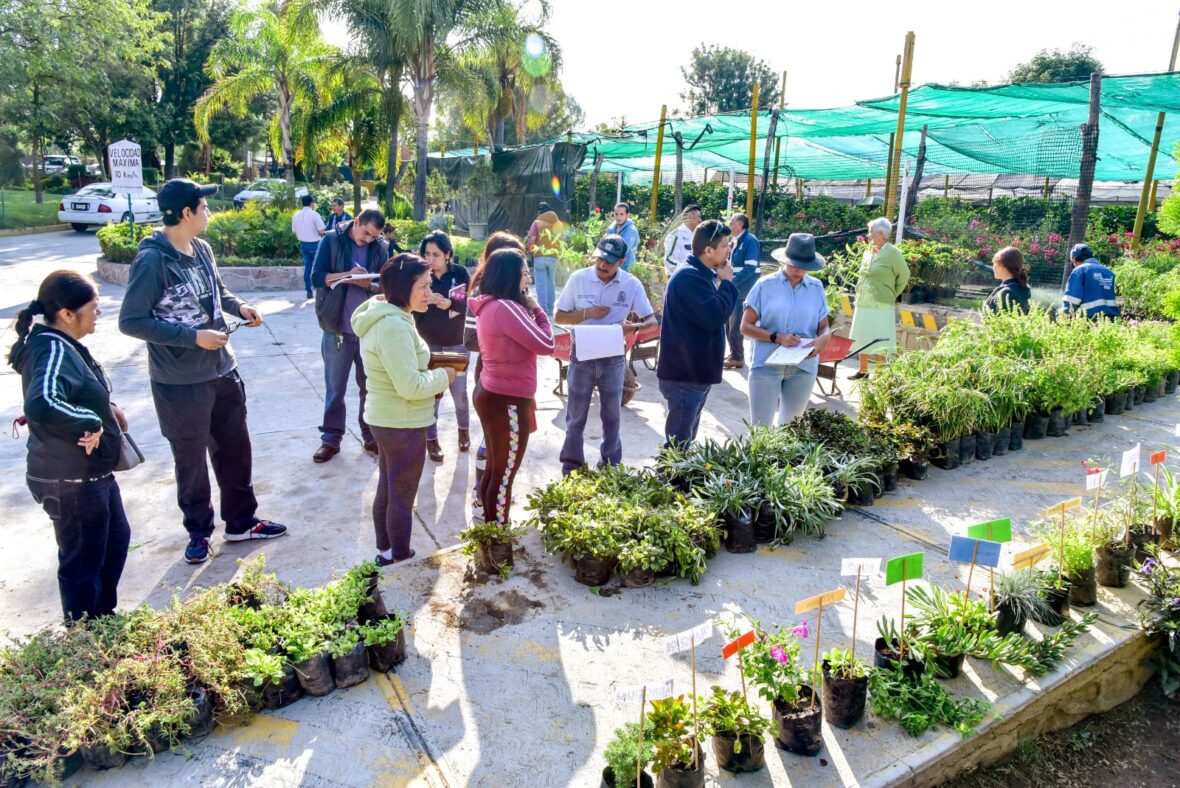 viver4 scaled INVITA VIVERO MUNICIPAL ACUDIR ESTE JUEVES A LA DONACIÓN DE PLANTAS