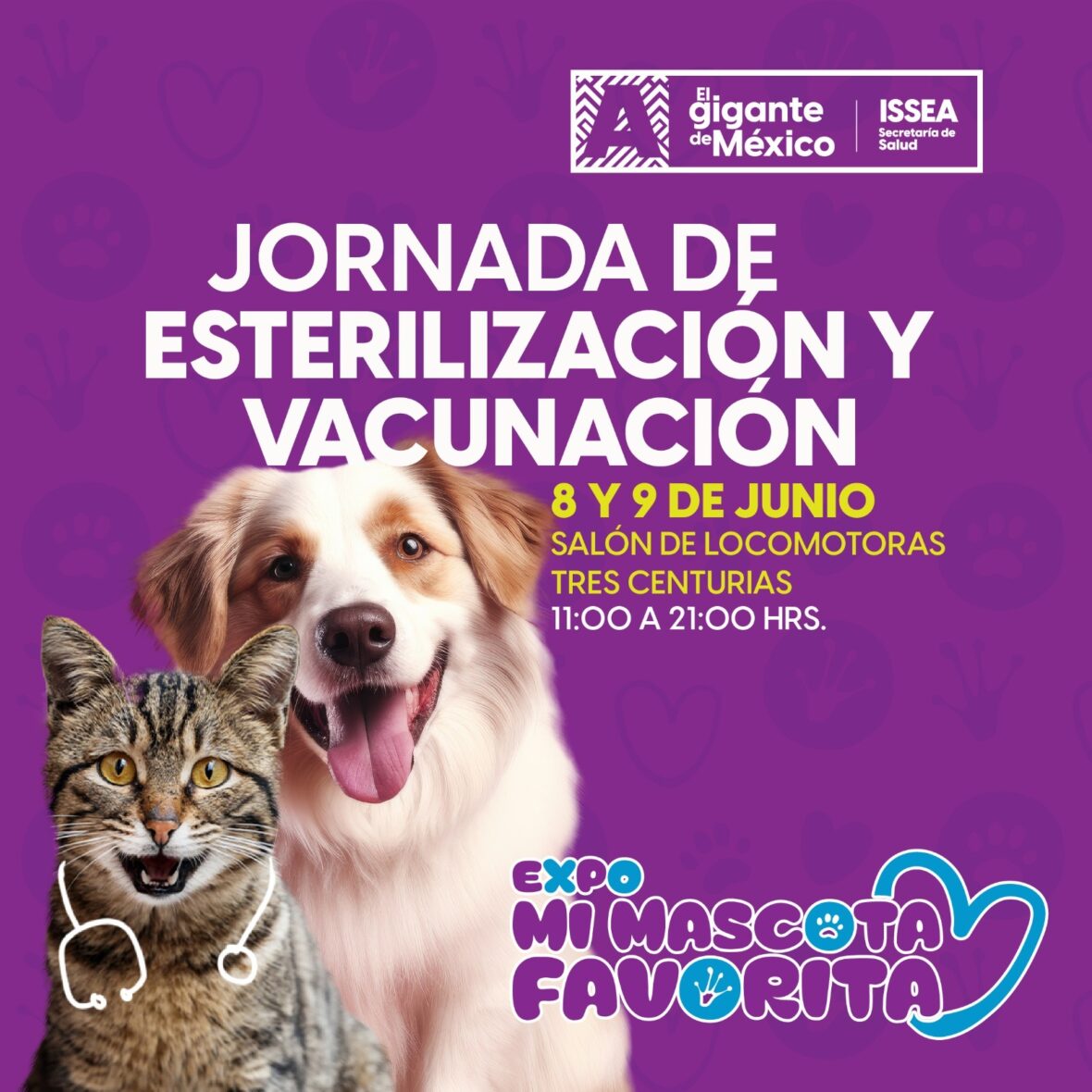 WhatsApp Image 2024 06 07 at 3.05.31 PM scaled SERVICIOS GRATUITOS VETERINARIOS ESTE FIN DE SEMANA EN “EXPO MI MASCOTA FAVORITA”