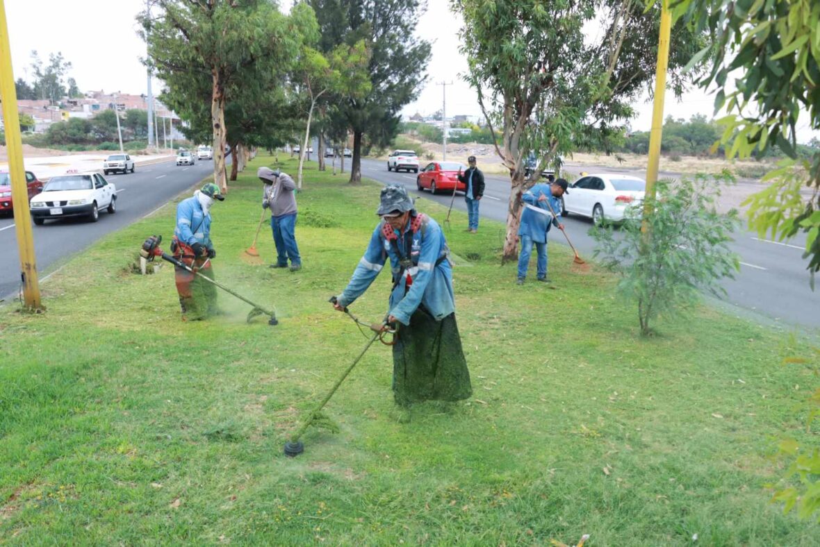 podalluvias2 scaled INTENSIFICA MUNICIPIO TRABAJOS DE MANTENIMIENTO DE ÁREAS VERDES