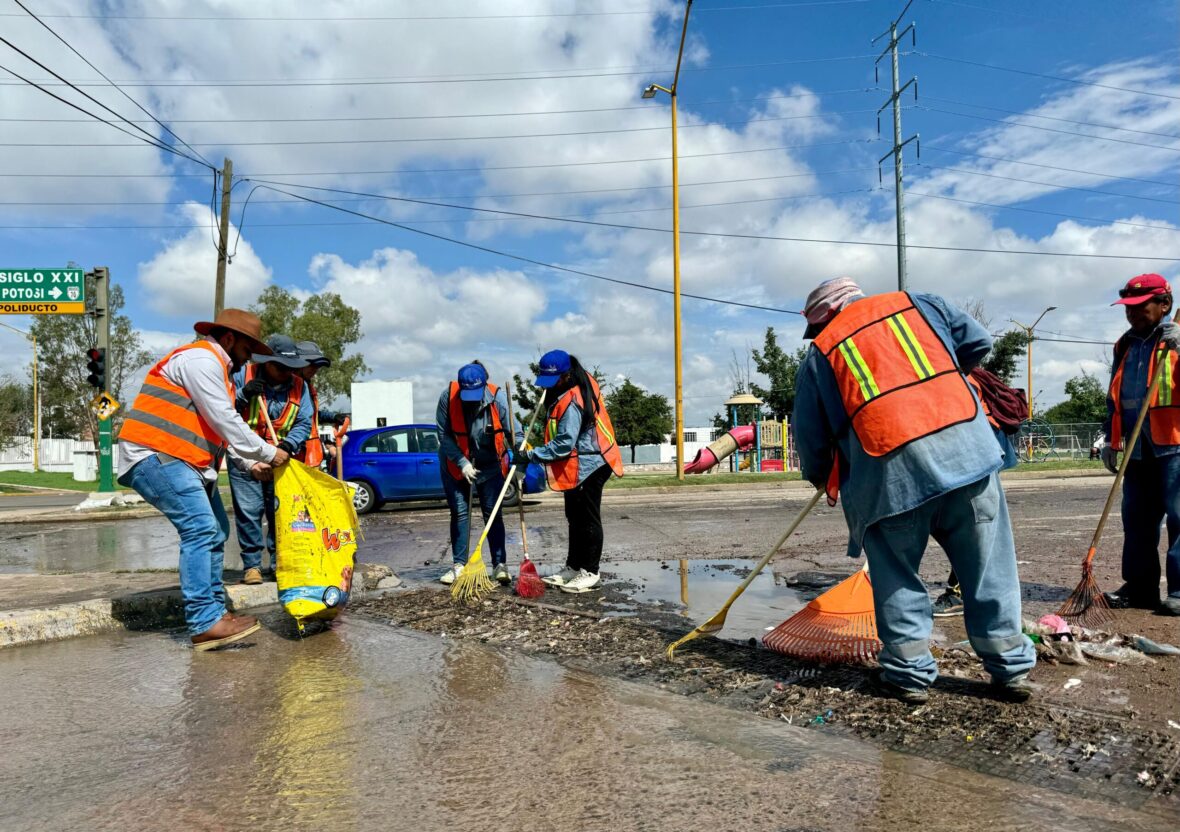 Caimanes 5 scaled 1 scaled INTENSIFICA MUNICIPIO JORNADAS DE LIMPIA DE CAIMANES EN LÍNEA VERDE