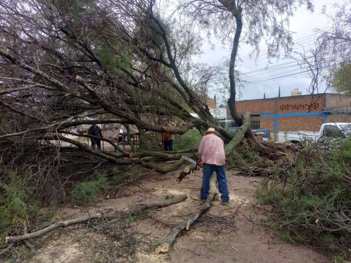 FOTO 170724 9 scaled MUNICIPIO DE AGUASCALIENTES ENTREGA APOYOS A LOS AFECTADOS POR LAS LLUVIAS