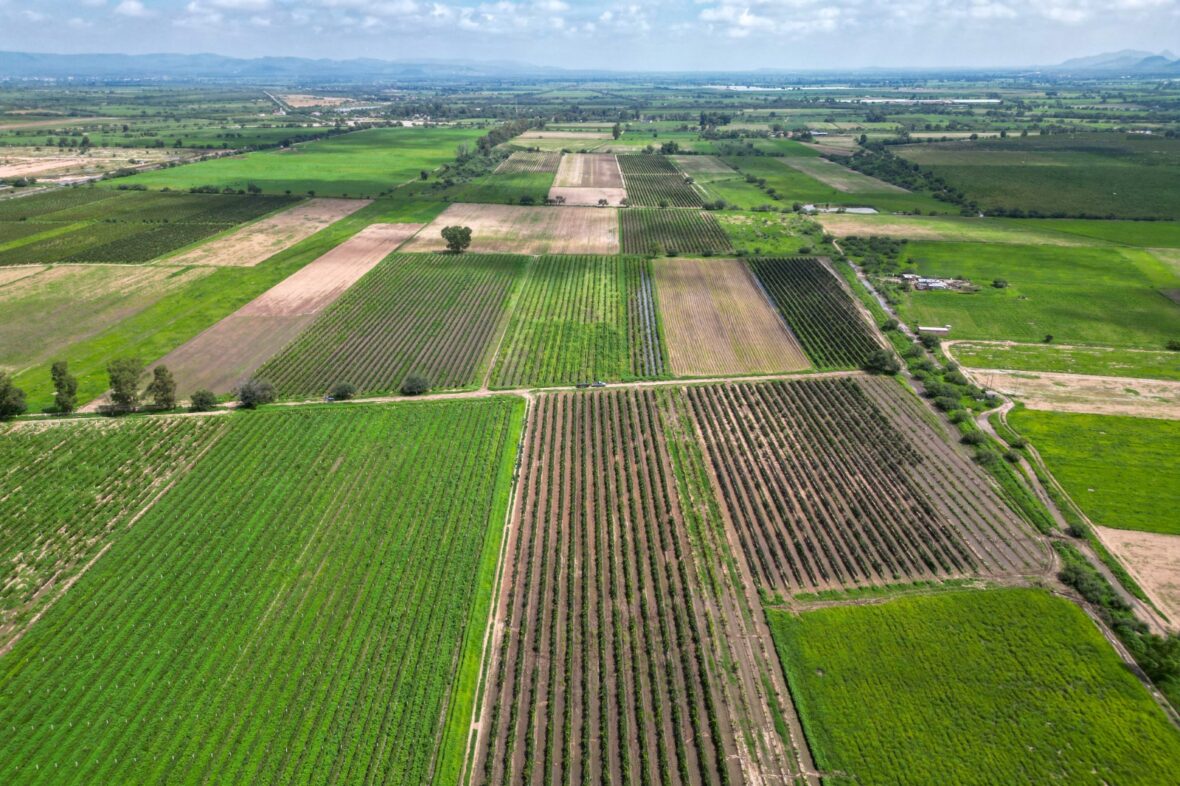 1 1 scaled COSECHAS PROMETEDORAS; ALGUNAS PRESAS DE AGUASCALIENTES ALCANZAN SU MÁXIMO NIVEL