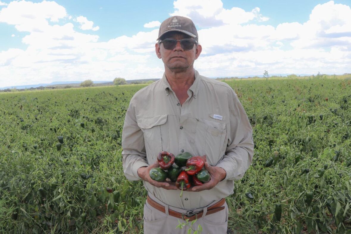 20 1 scaled TERE JIMÉNEZ IMPULSA EL FORTALECIMIENTO DE PRODUCTORES LOCALES