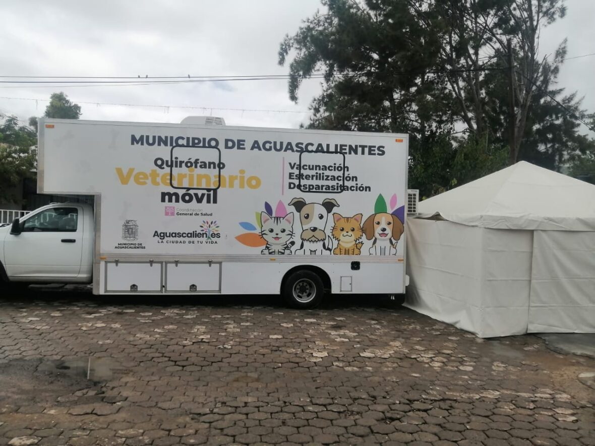 IMG 20240928 WA0047 scaled EFECTUARÁ MUNICIPIO NUEVAS JORNADAS DE ESTERILIZACIÓN CANINA Y FELINA