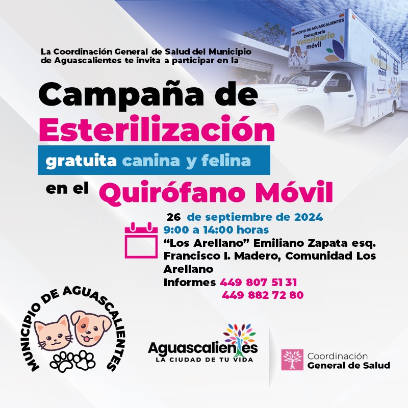 Imagen de WhatsApp 2024 09 13 a las 13.06.38 3e3e2a0d LLEVARÁN A CABO NUEVA CAMPAÑA DE ESTERILIZACIÓN CANINA Y FELINA