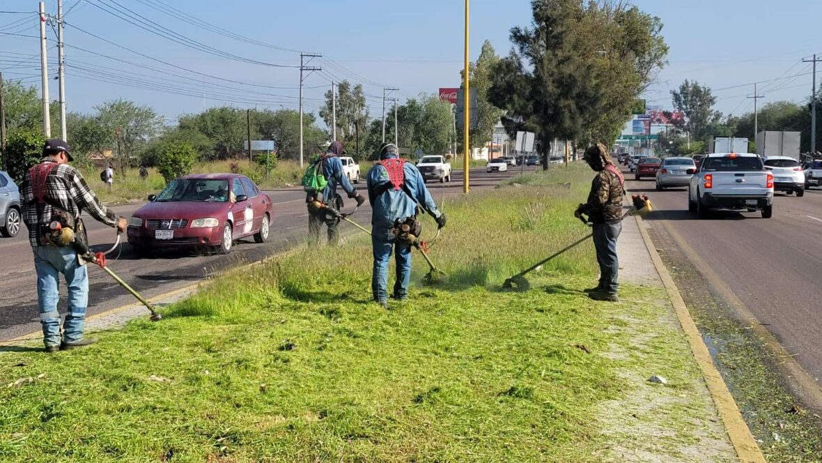 desmaleza2 scaled INTENSIFICA MUNICIPIO TRABAJOS DE PODA, DESMALEZADO Y RETIRO DE RAMAS