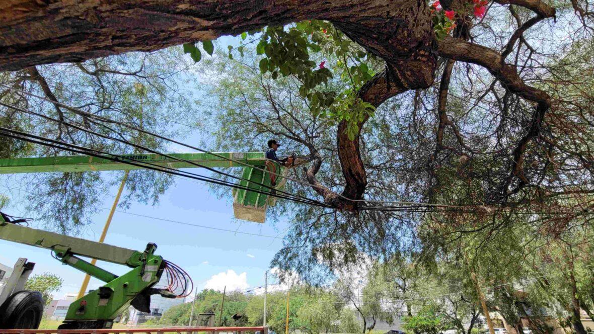 riesgos2 scaled 1 scaled AUMENTA MUNICIPIO ATENCIÓN A REPORTES DE RAMAS CAÍDAS POR LLUVIAS