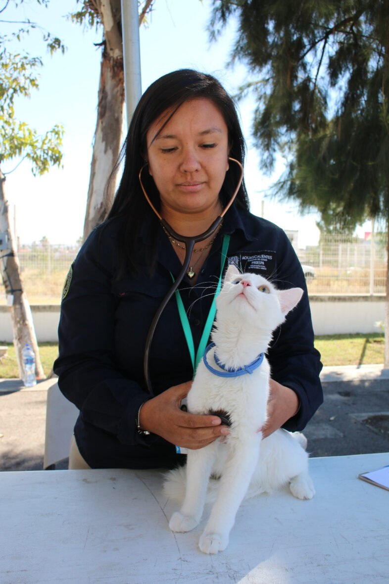 12 scaled LLEGAN SERVICIOS VETERINARIOS GRATUITOS A LOS ALAMITOS EN TEPEZALÁ