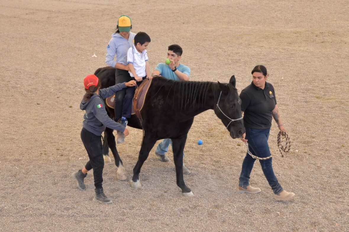 22 2 scaled CENTRO DE TERAPIA ASISTIDA CON ANIMALES, EL PRIMERO EN SU TIPO A NIVEL NACIONAL