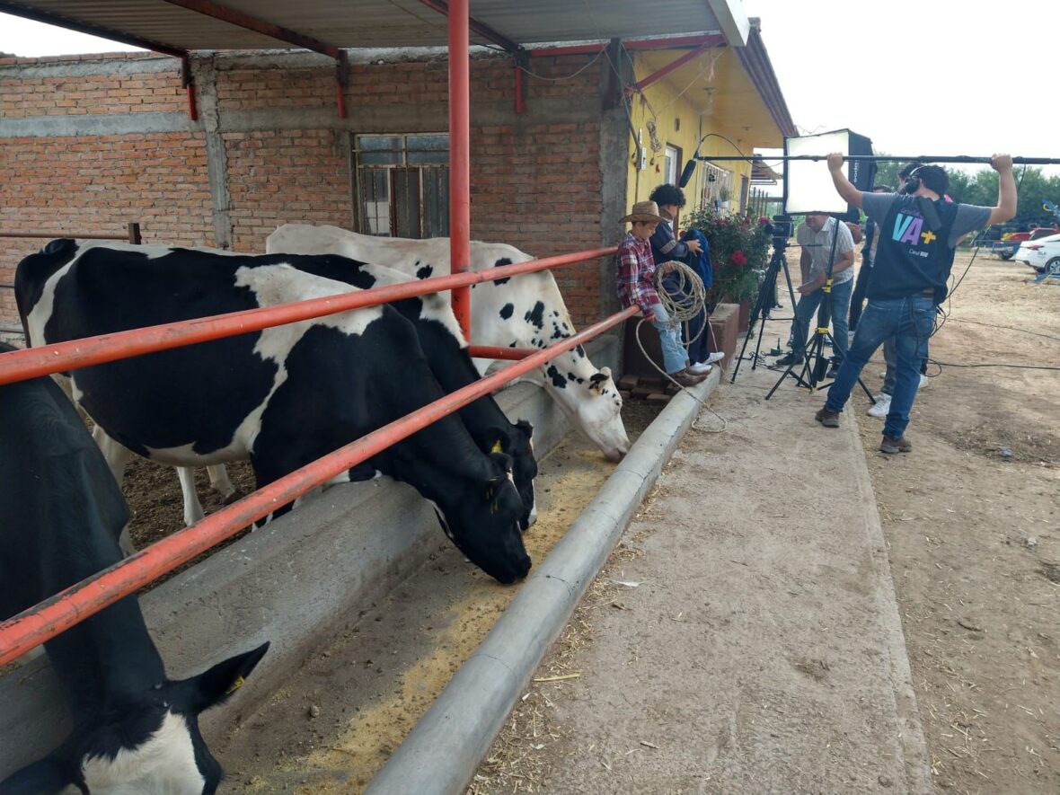 32 1 scaled GOBIERNO DE AGUASCALIENTES RECIBE NOMINACIÓN POR CAMPAÑA DE DERECHOS DE LA INFANCIA