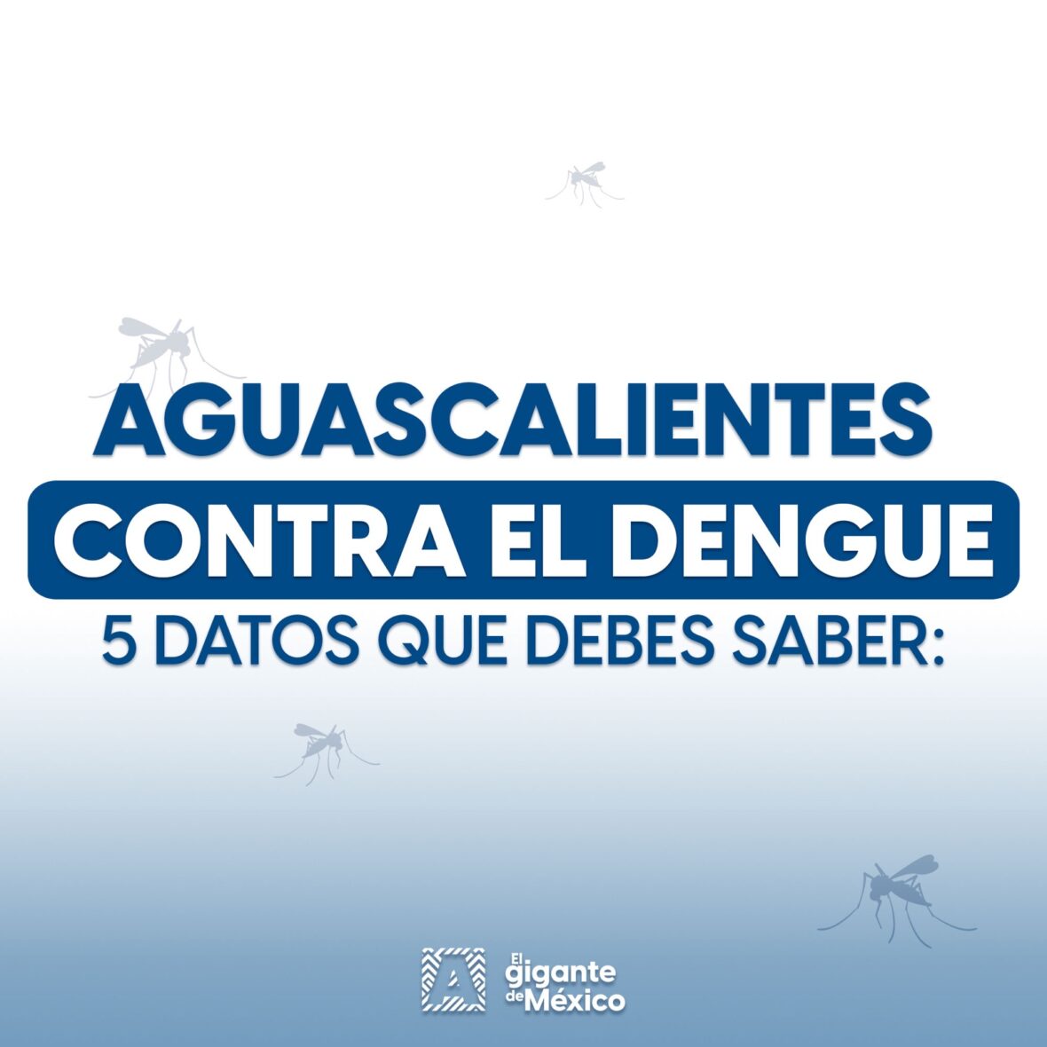 40 scaled GRACIAS A LABORES DE PREVENCIÓN, EN AGUASCALIENTES SE MANTIENE CONTROL SOBRE PROPAGACIÓN DEL DENGUE