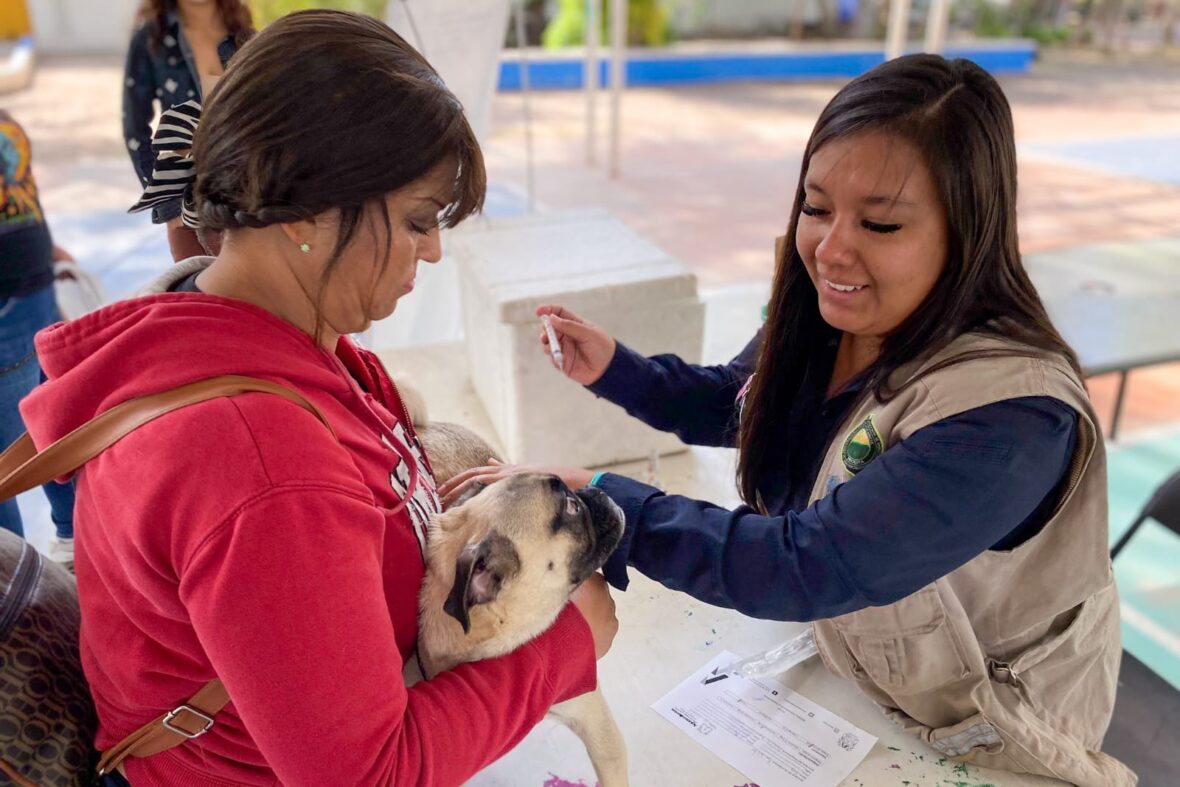 48 scaled ESTE VIERNES, SERVICIOS VETERINARIOS GRATUITOS EN MARGARITAS, JESÚS MARÍA