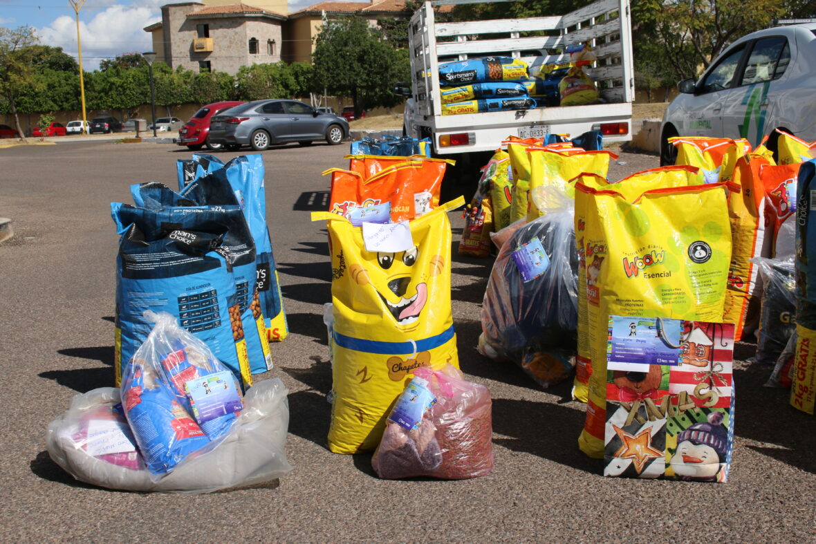 12 1 scaled EN AGUASCALIENTES LA NAVIDAD LLEGÓ A ALBERGUES DE PERRITOS Y GATITOS