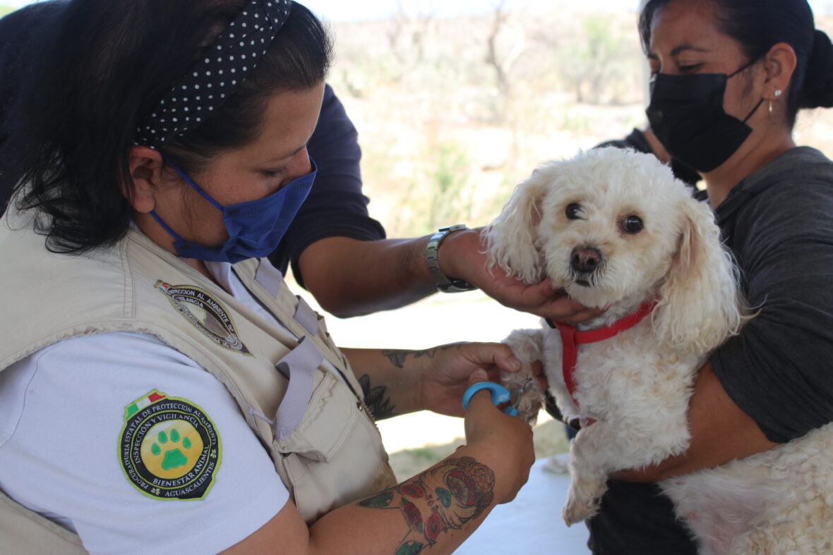 15 scaled SERVICIOS VETERINARIOS GRATUITOS ESTE VIERNES 6 DE DICIEMBRE EN LA CONGOJA