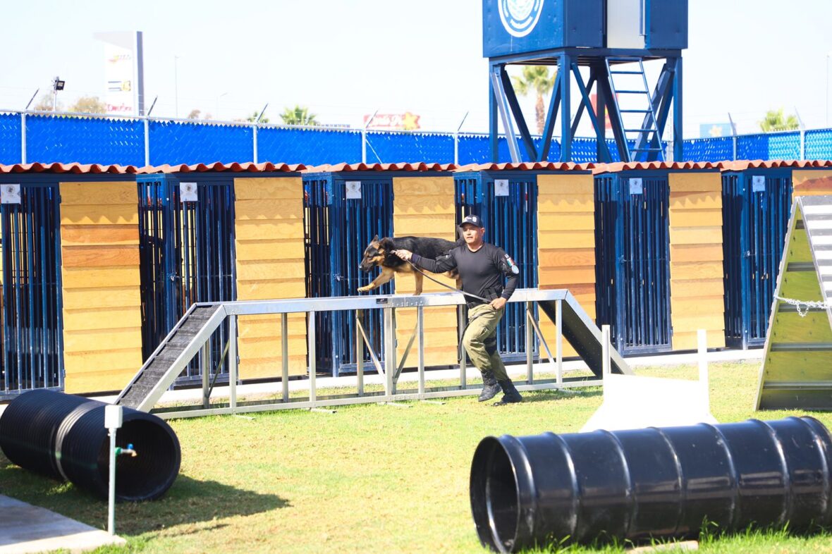 35 1 scaled UNIDAD K-9 DE LA LA POLICÍA ESTATAL REFUERZA BLINDAJE AGUASCALIENTES