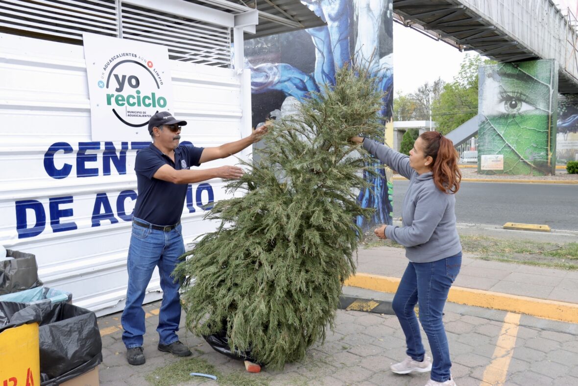 10f6330f 0800 4984 9b12 ebf5694d1e1c scaled PONE EN MARCHA SECRETARÍA DE SERVICIOS PÚBLICOS PROGRAMA ANUAL DE ACOPIO DE ÁRBOLES NATURALES NAVIDEÑOS