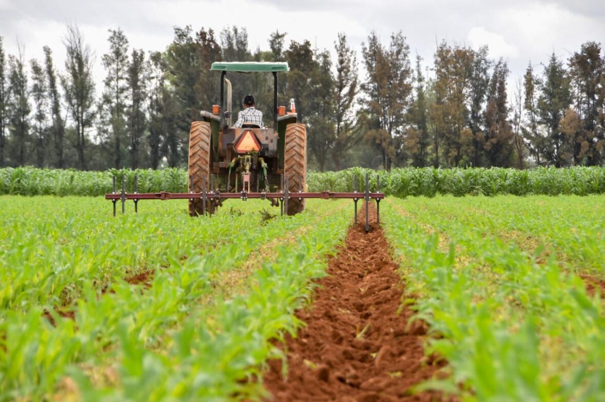 28 3 scaled ANUNCIAN APOYOS PARA ADQUIRIR EQUIPO AGRÍCOLA