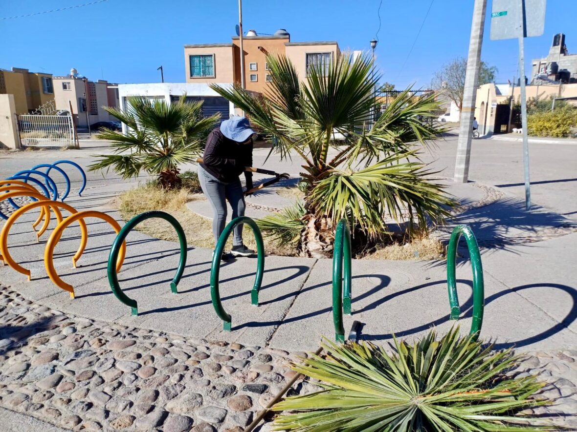 Imagen de WhatsApp 2025 02 06 a las 14.31.25 16cfc43d scaled REFUERZA MUNICIPIO DE AGUASCALIENTES MANTENIMIENTO DE ÁREAS VERDES CON TRABAJOS VESPERTINOS