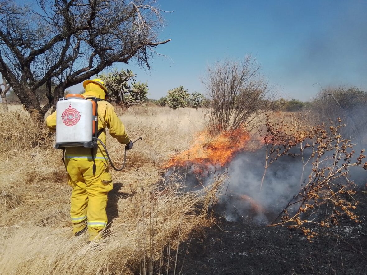 Imagen de WhatsApp 2025 02 18 a las 15.22.45 75c2c2c1 scaled FORTALECEN BOMBEROS MUNICIPALES ACCIONES DE COMBATE DE INCENDIOS FORESTALES Y DE PASTIZALES