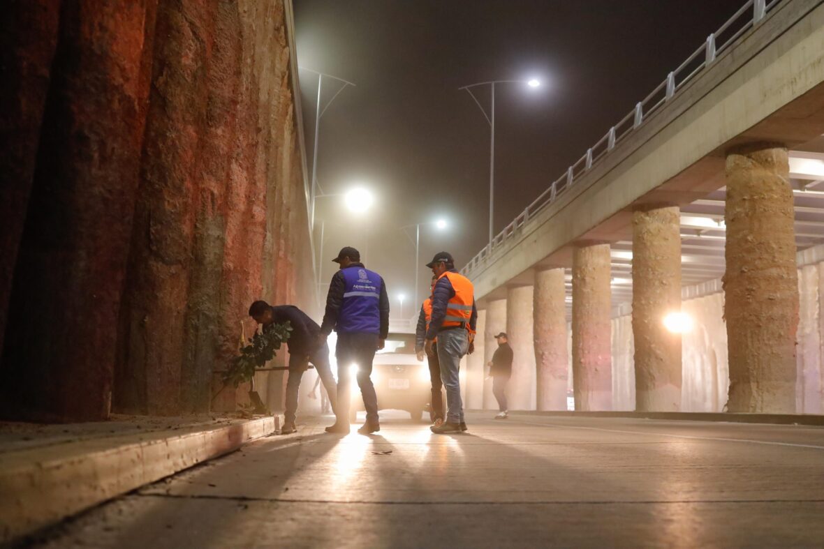 RIK1946 scaled 1 scaled REFUERZA MUNICIPIO OPERATIVOS DE LIMPIEZA DE PUENTES, BAJOPUENTES Y PASOS A DESNIVEL
