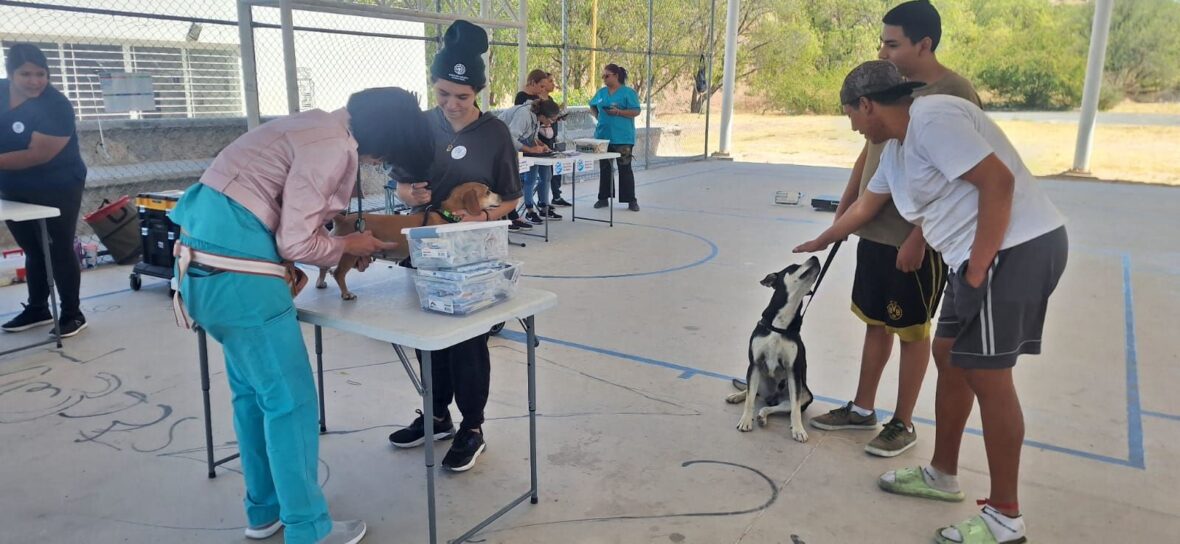 FOTO 120325 4 scaled INVITA MUNICIPIO A APROVECHAR LOS SERVICIOS GRATUITOS DE LA CLÍNICA VETERINARIA MÓVIL