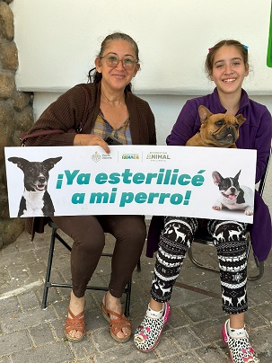 bienestar animal Dirección de Bienestar Animal rompe récord en número de esterilizaciones gratuitas