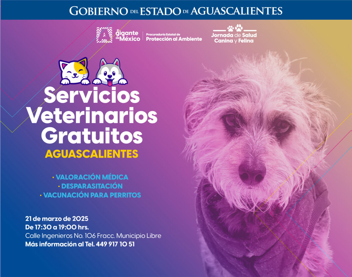 unnamed file 4 scaled ESTE VIERNES HABRÁ SERVICIOS VETERINARIOS GRATUITOS EN SAN FRANCISCO DE LOS ROMO Y AGUASCALIENTES