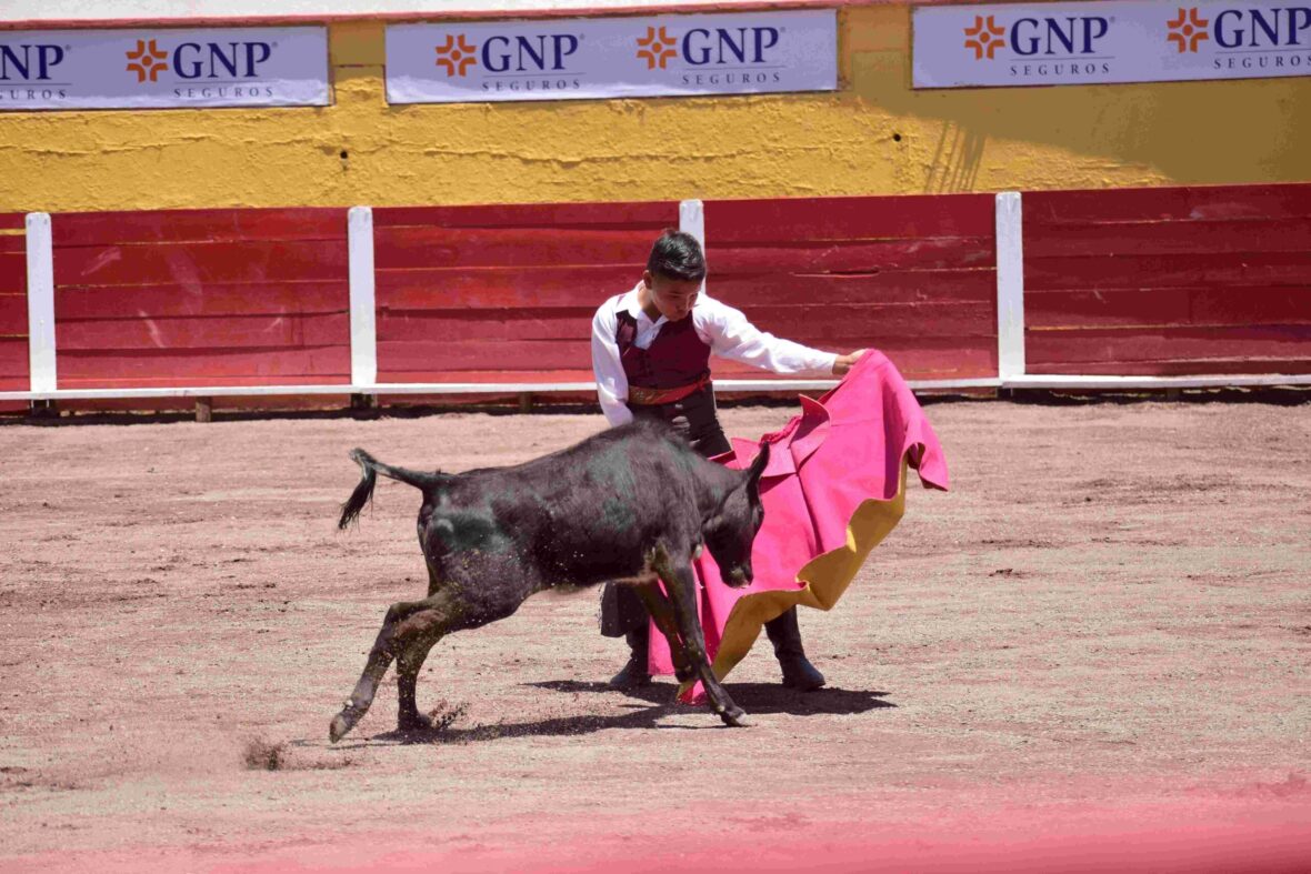DSC7197 scaled 1 scaled INVITAN AL ENCUENTRO MUNDIAL DE ESCUELAS TAURINAS 2025